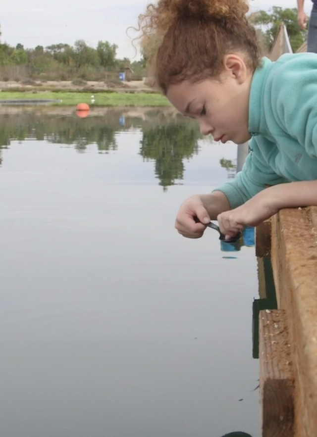 Girl on pier lays down on stomach and uses plastic spoon to look for small crustaceans in water.