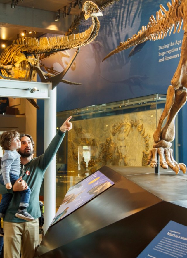 Member father and son in Dino Hall