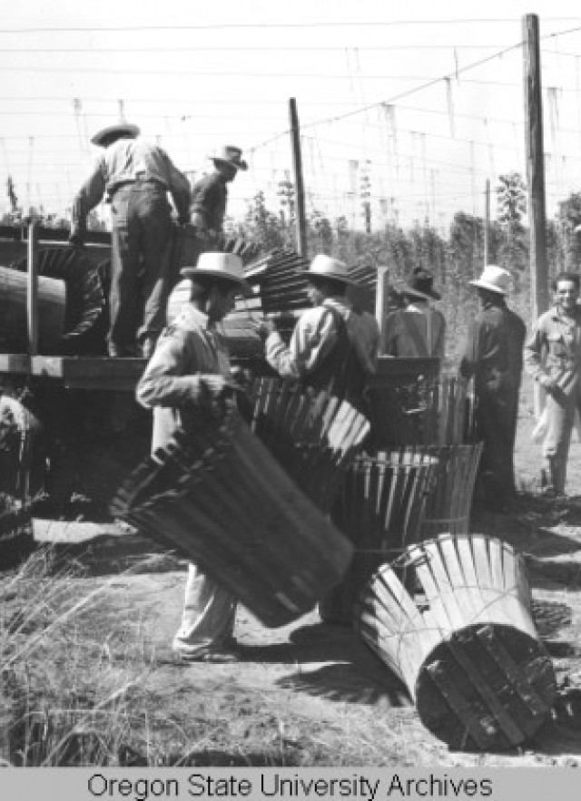 Image of braceros hauling baskets into trucks