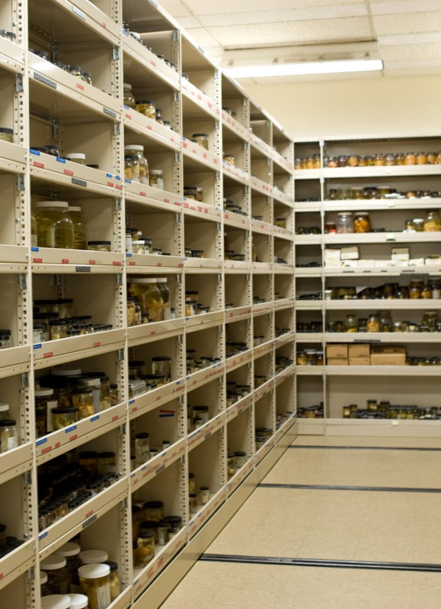 Crustaceans Collections Storage- Behind the Scenes 
