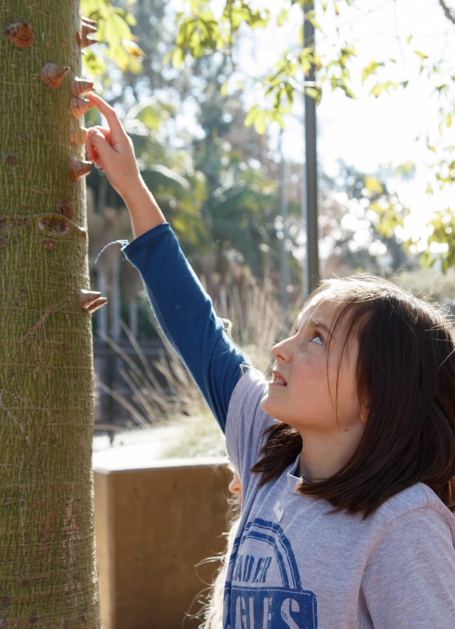 student pointing at spike on tree trunk