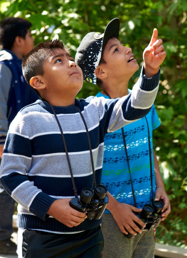 Group of boys with binoculars on a nature walk pointing up