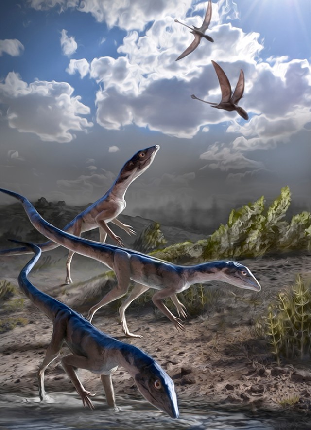 Peerless Pterosaur Could Fly Long-Distance For Days : NPR