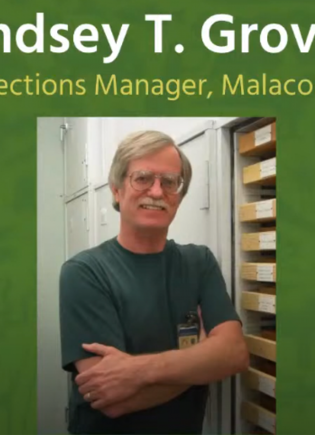 image of malacology collections manager