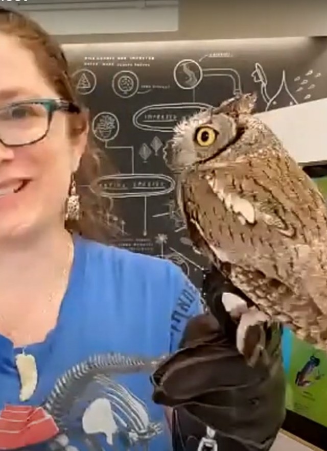 Animal Meet & Greet: Croak, Chirp, Hiss, Hoot! | Natural History Museum Animal Meet & Greet: Croak, Chirp, Hiss, Hoot! | Natural History Museum