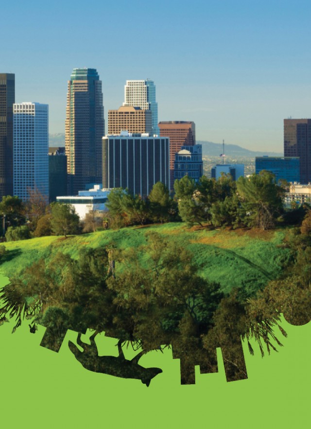 Earth Day & City Nature Challenge