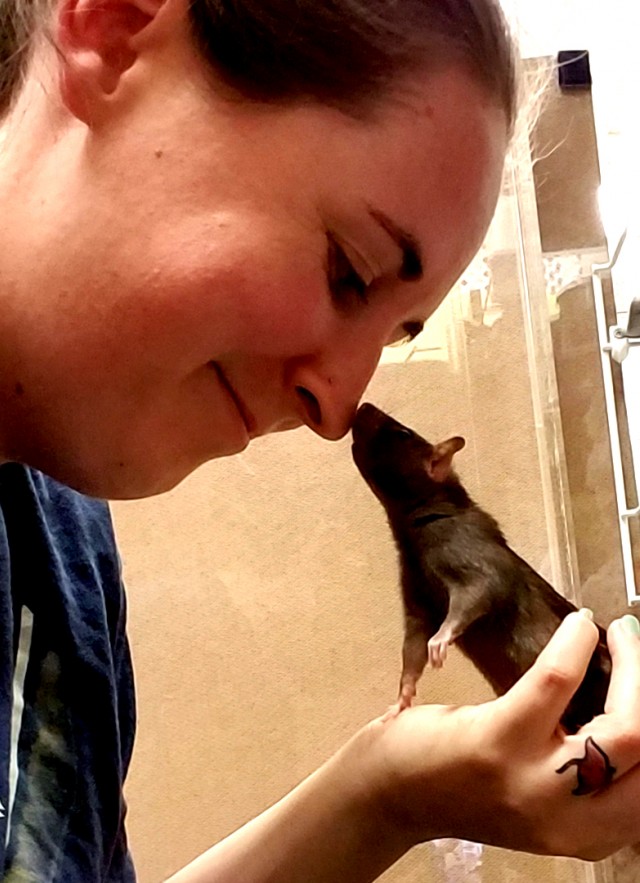 Museum Live Animal Keeper interacting with one of the rats