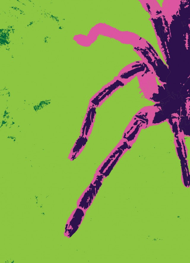 tarantula with color effect on green background