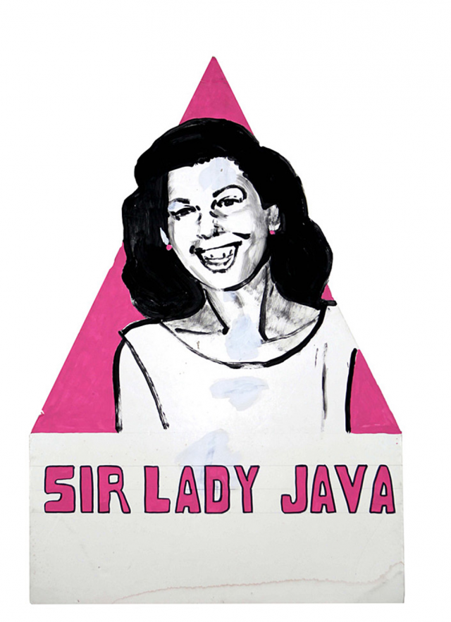Sir Lady Java with pink triangle background