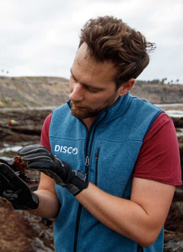 DISCO Staff at Coastal Bioblitz