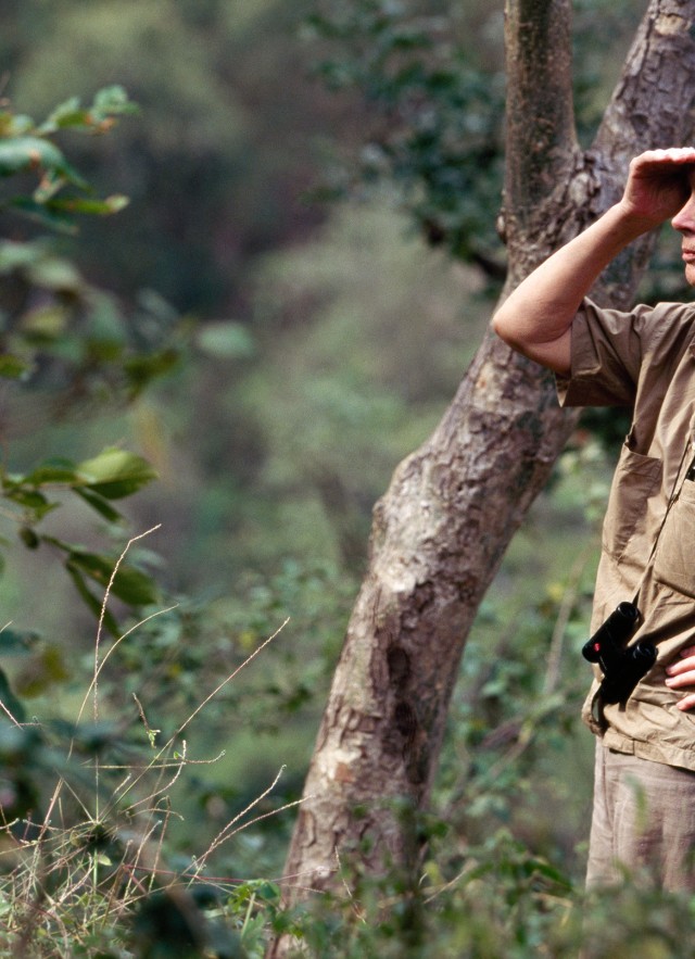 Jane Goodall, 35 years after her original observations, finding great joy in watching the Gombe chimpanzees. Gombe National Park, Tanzania.