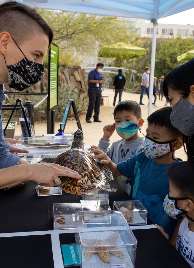people wearing masks, a family touches a turtle held by museum educator