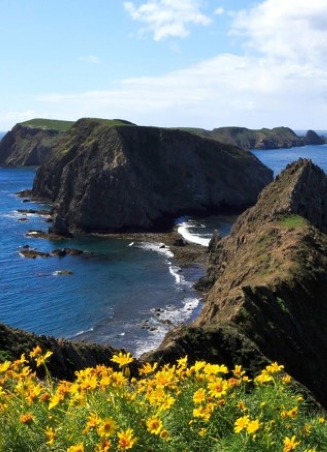 Anacapa Island Channel Islands landscape