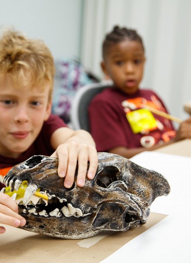 a young boy holds a skull of a dire wolf in two hands