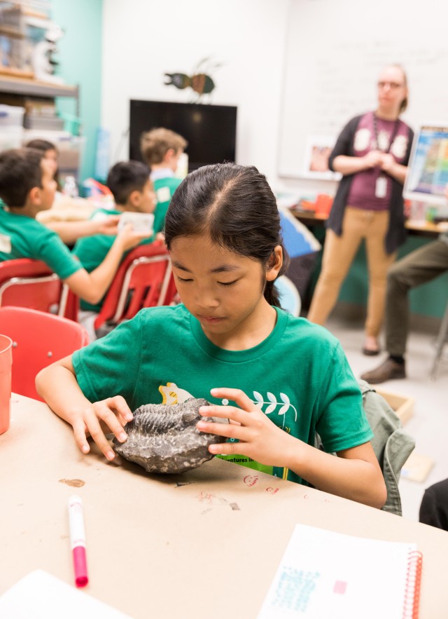 girl with a green shirt holds a large ammonite fossil