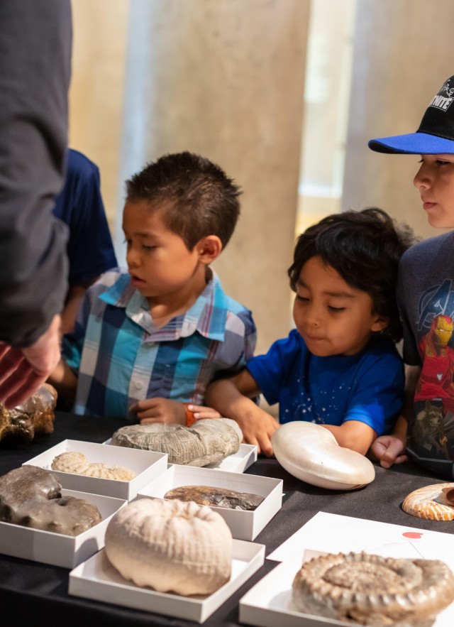 3 children look at fossils on a table