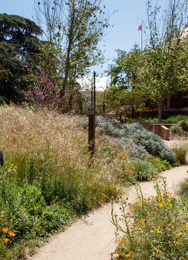 A path with flowers and plants on either side, facing the 1913 building in the distance at the Natural History Museum of Los Angeles County