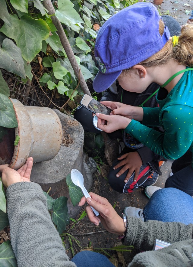 Children participating in a bioblitz