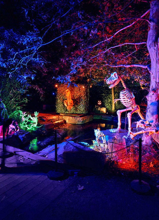 Visitors standing by an installation of dinosaur skeletons by a small pond, with pink, purple, and green lighting and visitors walking on a dirt path on the right-hand side of the picture frame