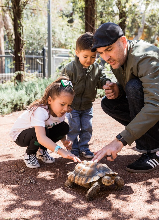 Children and adult meeting a desert tortoise