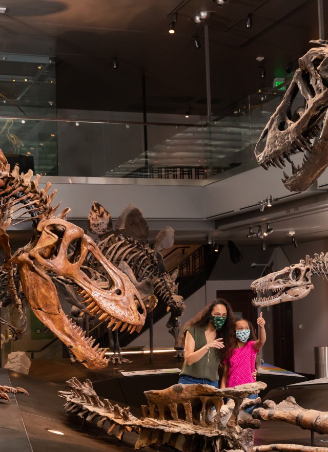 Dino Hall two guests looking at T-rex