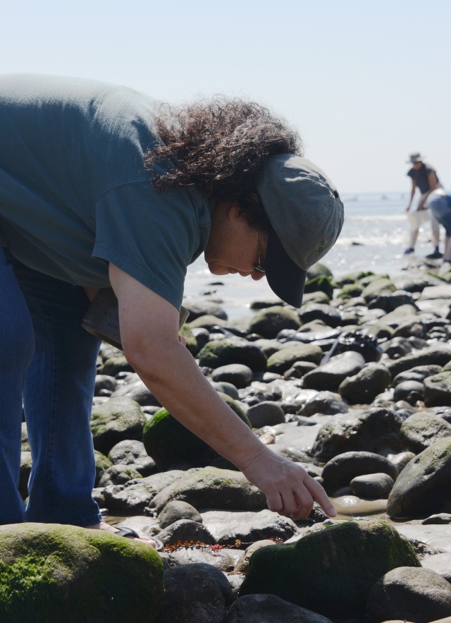 Exploring the tide pools in Malibu