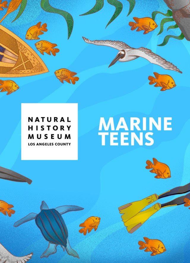 Two logos, Natural History Museum Los Angeles County in black letters against a white square and Marine Teens in white letters, against a blue background with sea creatures and people doing water activities