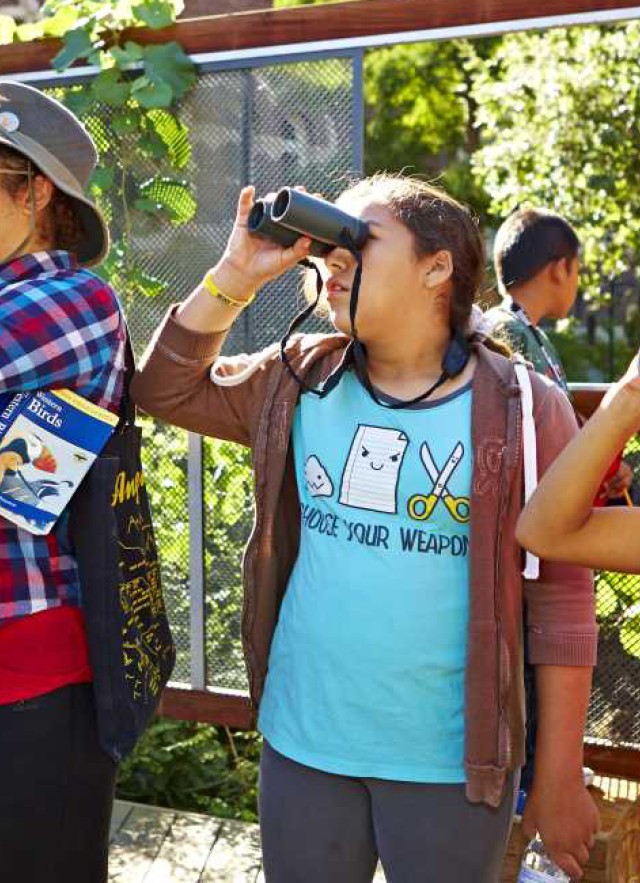 Visitors looking up, holding binoculars to their eyes 