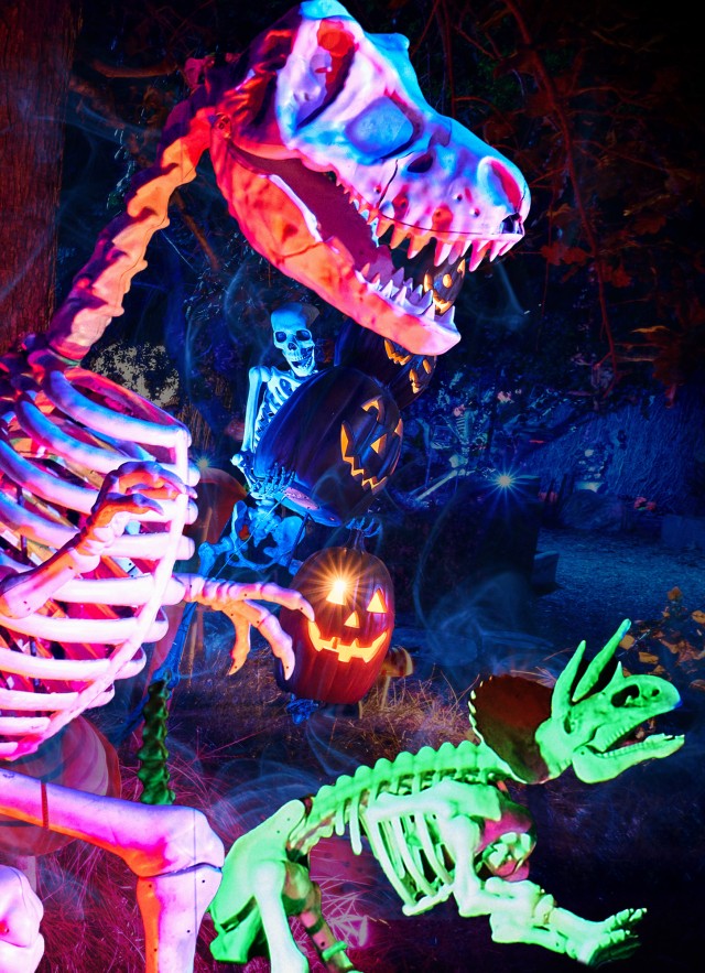 Lit up dinosaur skeletons in orange, pink, and green at night