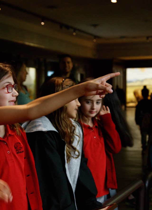 Students observing dioramas