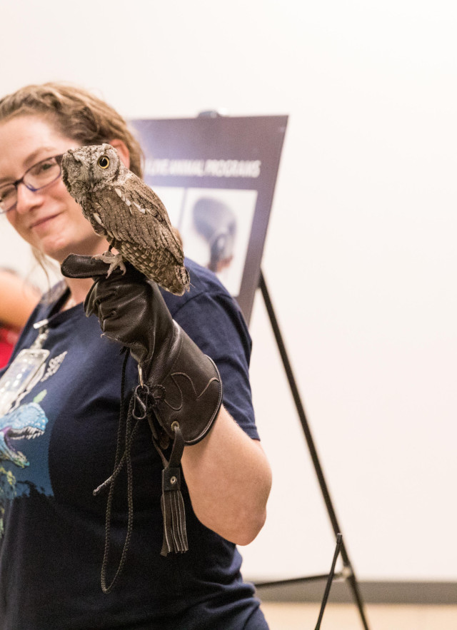 Leslie Gordon with an one-eyed owl perched on her gloved hand