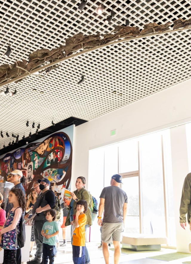 NHM Commons Interior