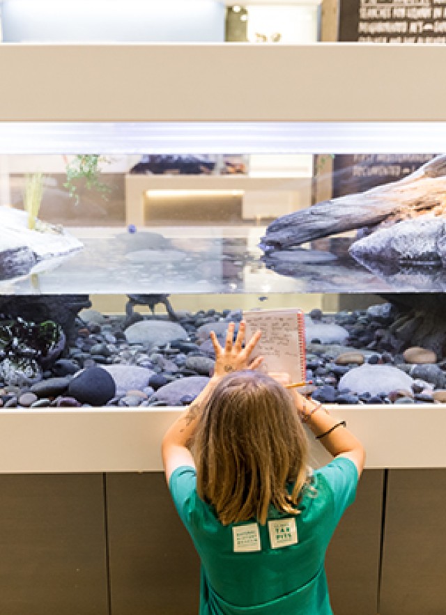 Child facing and holding a notebook up against a fish tank