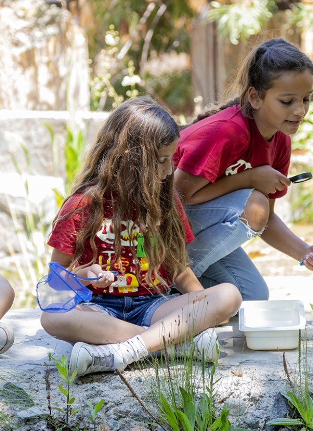 Children holding small blue nets while crouching by a pond