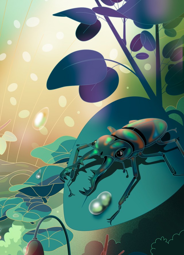 Image of Bug Fair 2025 art