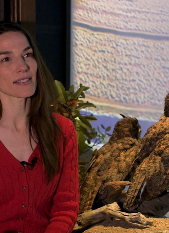 Head and shoulders portrait of Lauren Schoth with a diorama in the background