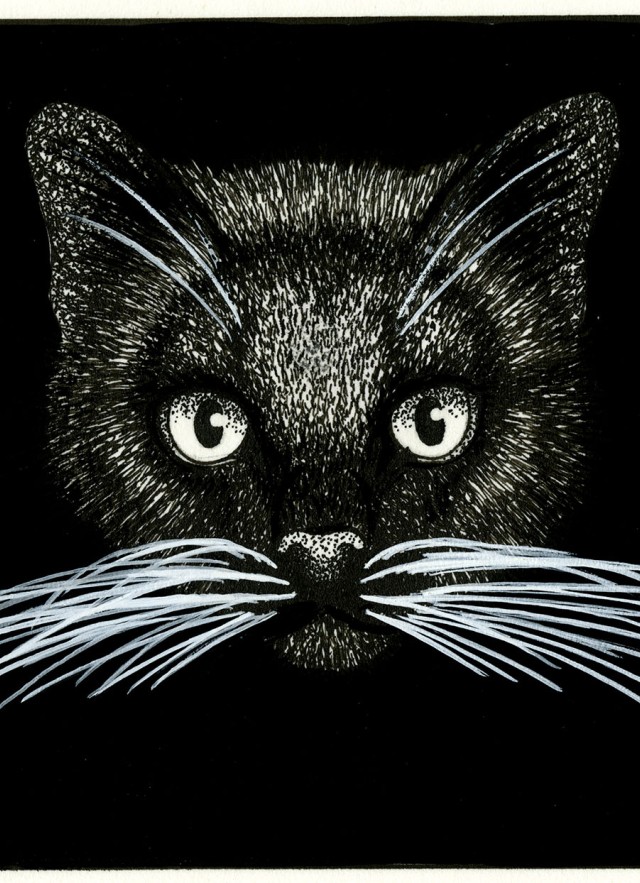 Black cat illustration Natural History Museum