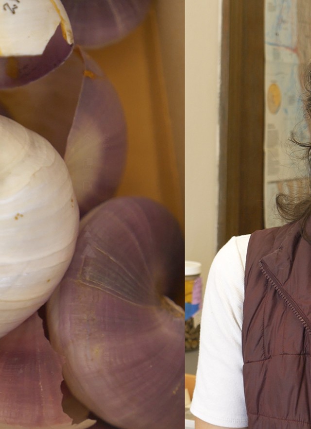 Purple and white swirled shells next to a head and shoulders portrait of Jann Vendetti wearing a brown vest