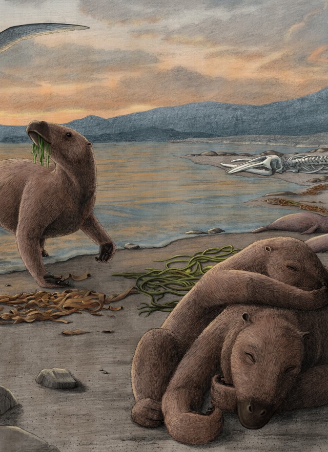 Illustration of aquatic sloths chilling by the beach next to some penguins and sea lions during a sun set