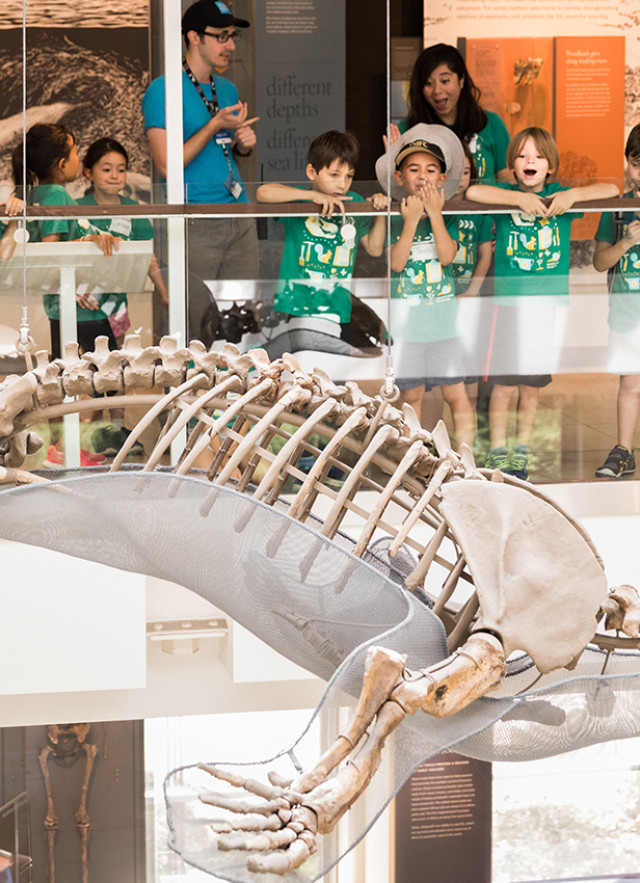 Children on a balcony looking at a hanging sea creature skeleton