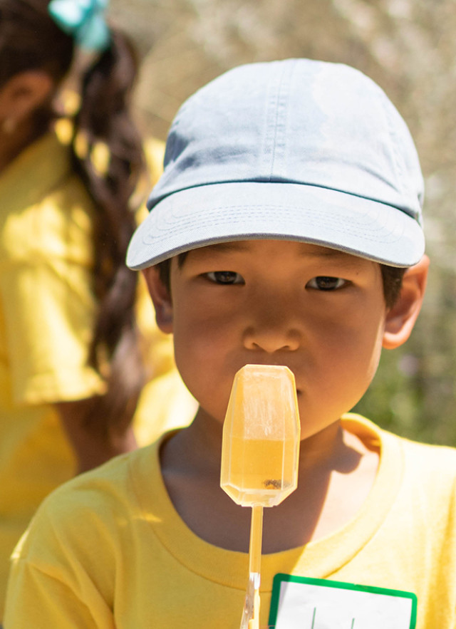 Child in yellow t-shirt with a name tag and holding up an insect encased in a yellow block on a stick
