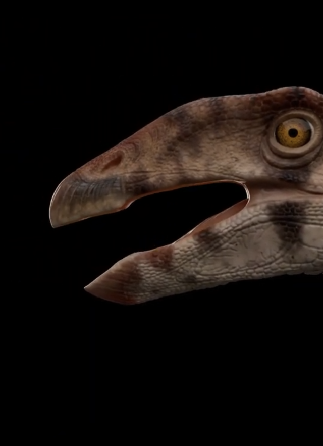 Head of a dinosaur like creature on a black background