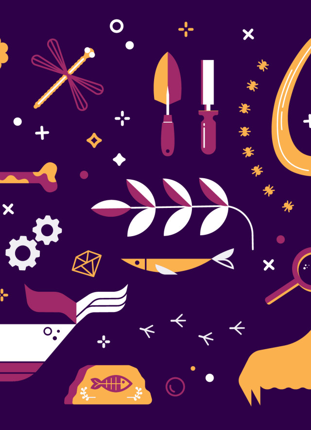 Mammoth and dire wolf skull and scientific objects in pink and orange on a purple background