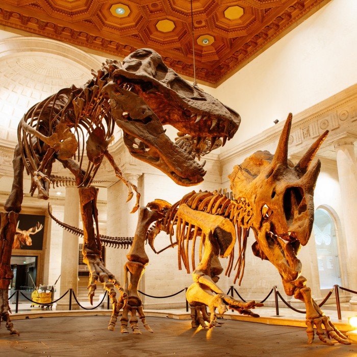 Natural History Museum of Los Angeles County