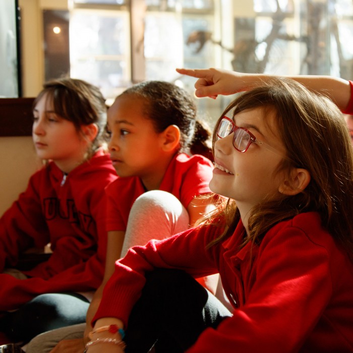 kids in age of mammals on school field trip subaru corporate