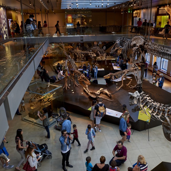 Looking down from the balcony into the expansive Dinosaur Hall