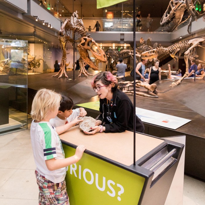 gallery interpreter with kids curiosity cart dinosaur hall