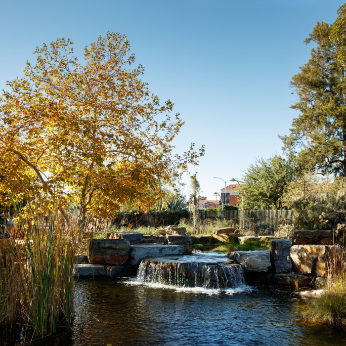 NHM group visits nature gardens tour