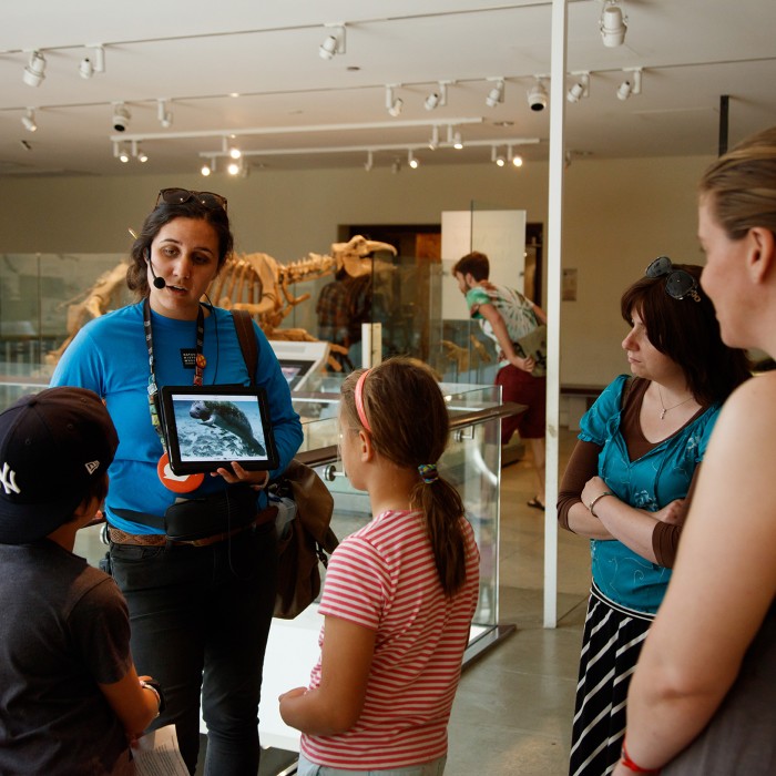 gallery interpreter on tour with guests dinosaur hall