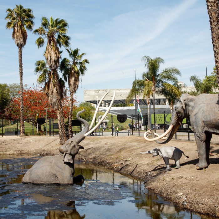 lake pit museum in background la brea tar pits